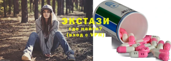apvp Вяземский