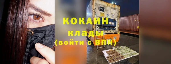 apvp Вяземский