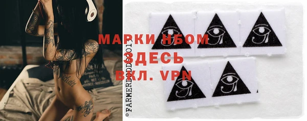 apvp Вяземский