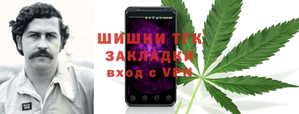 apvp Вяземский