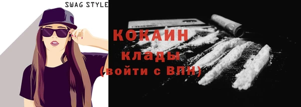 apvp Вяземский