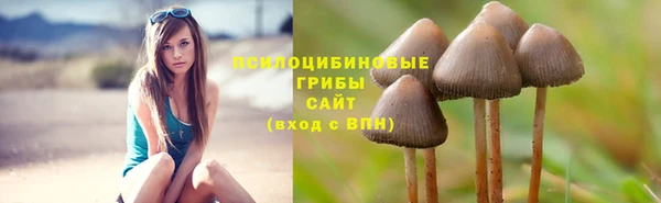 соль курить ск Вязьма