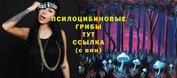 apvp Вяземский