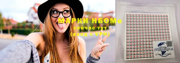 apvp Вяземский