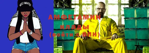 apvp Вяземский