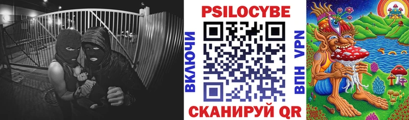 ОМГ ОМГ ТОР  как найти наркотики  Нижнекамск  Галлюциногенные грибы Cubensis 